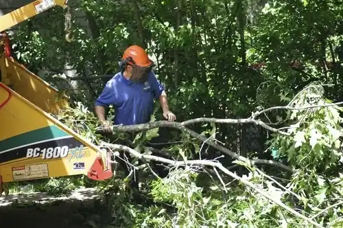 tree services Bessemer